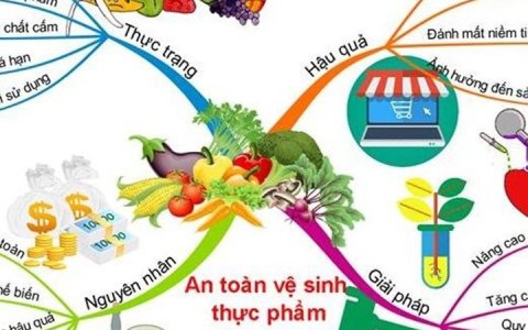 Bài tuyên truyền về đảm bảo an toàn vệ sinh thực phẩm