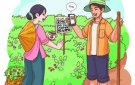 Thương mại số: Truy xuất ngồn gốc nông sản