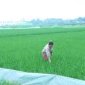 NÔNG DÂN HUYỆN THỌ XUÂN CHĂM SÓC, PHÒNG TRỪ SÂU BỆNH CHO LÚA VỤ THU MÙA 2024