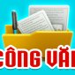  chủ động phòng chống cúm AH5N1 ở người