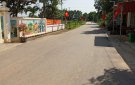 HỘI CỰU CHIẾN BINH XÃ THỌ XƯƠNG: MÔ HÌNH "ĐƯỜNG MẪU CÂY XANH CCB TỰ TRỒNG, TỰ QUẢN"