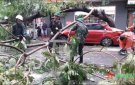 BCĐ Quốc gia phòng chống thiên tai: Khuyến cáo những việc làm sau bão