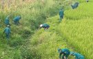 UBND Xã Thọ Xương tổ chức ra quân dọn dẹp  vệ sinh môi trường, khơi thông dòng chảy các tuyến mương tiêu.